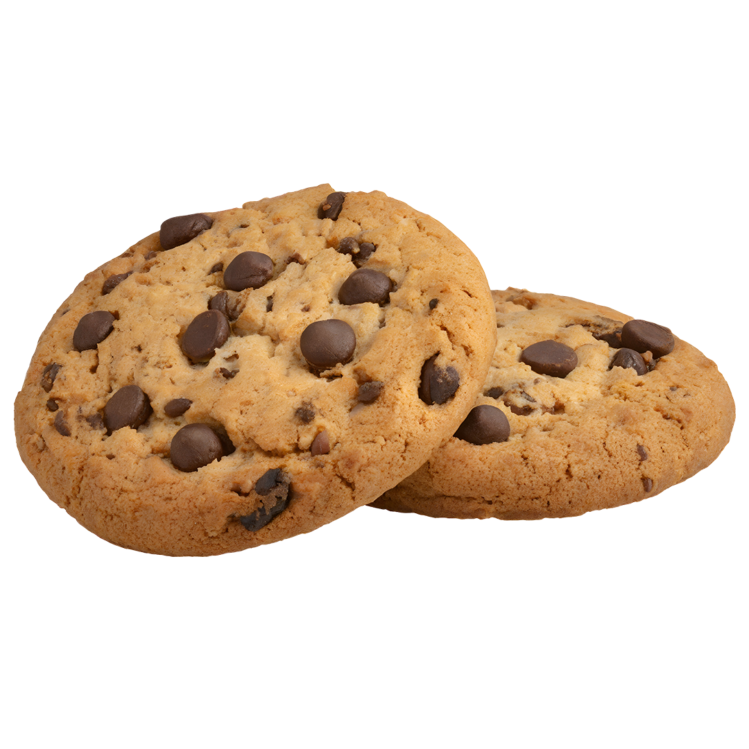 Brew_GalletaSQ